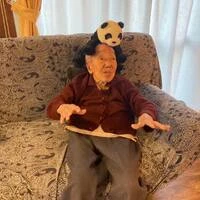 画像298