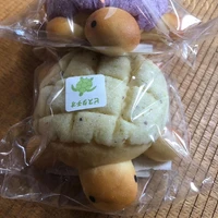 画像369