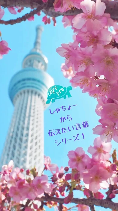 画像749
