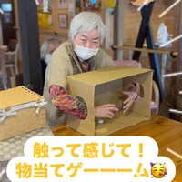画像773