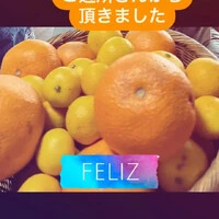 画像787