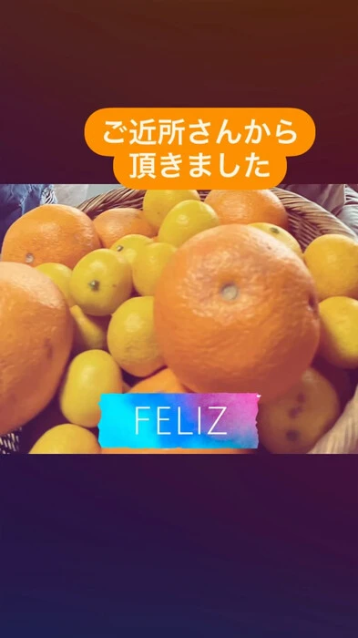 画像787