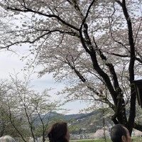 画像793